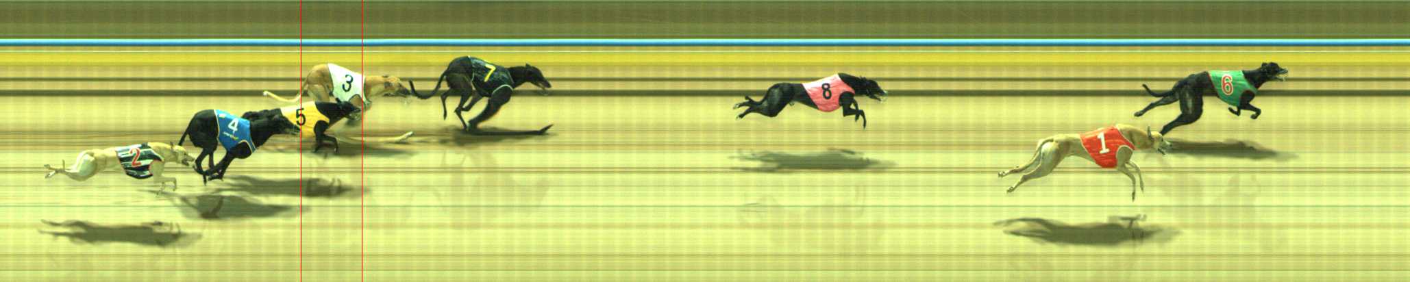 Photo finish for Traralgon Race 7