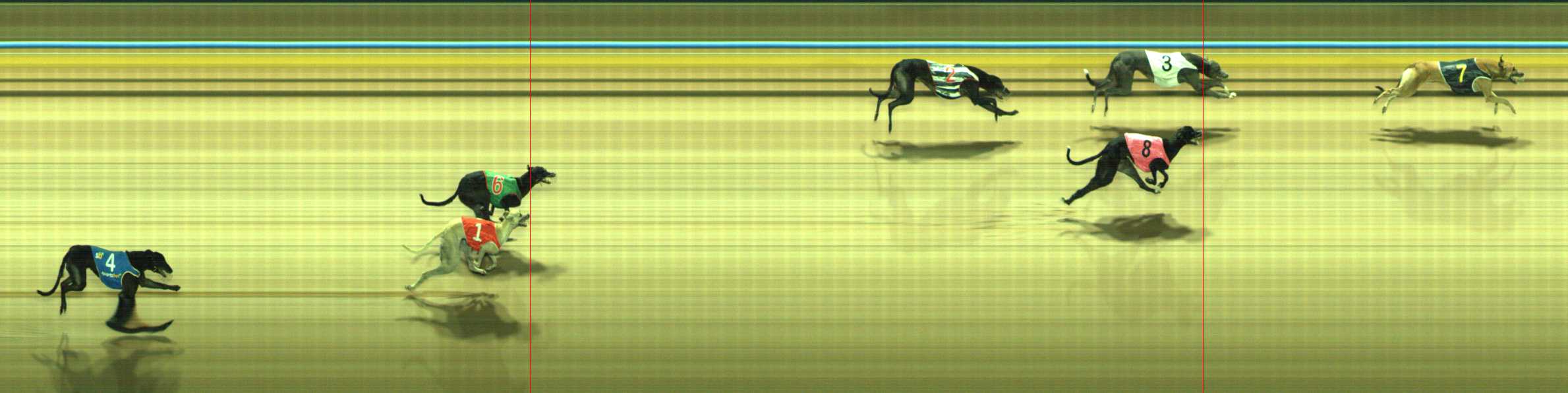 Photo finish for Traralgon Race 8