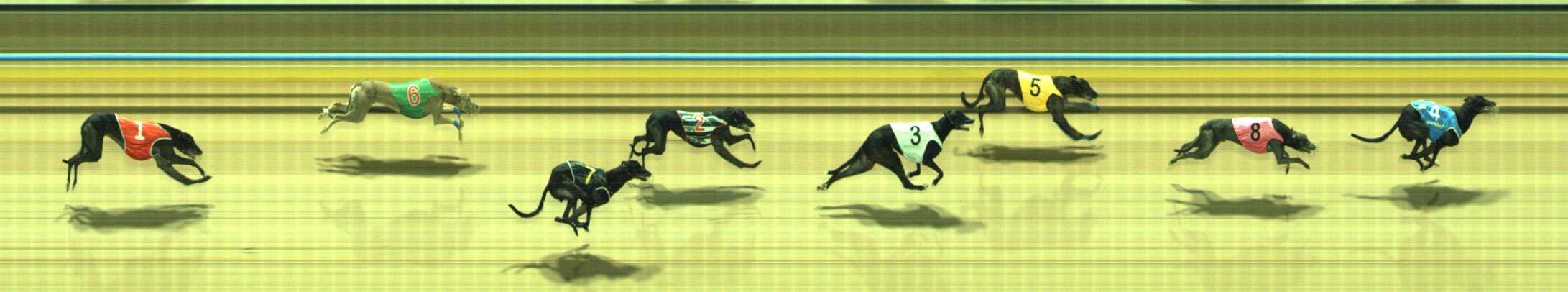 Photo finish for Traralgon Race 10