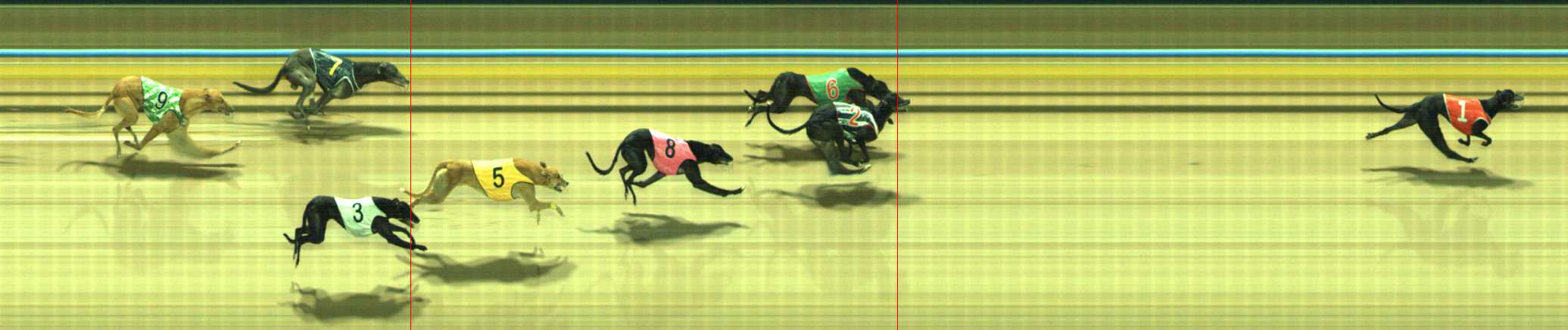 Photo finish for Traralgon Race 11