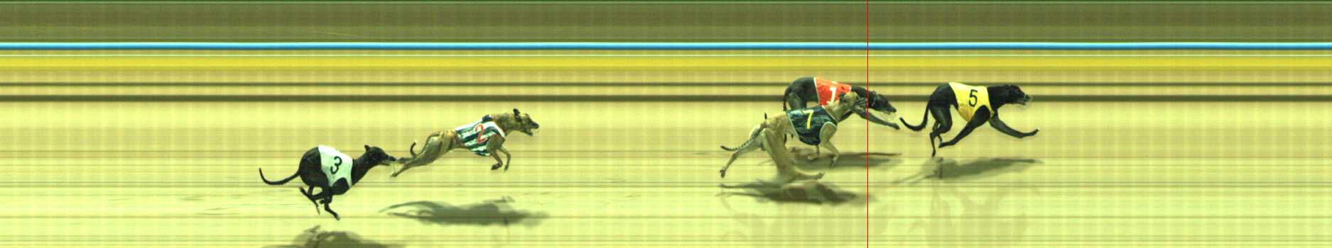 Photo finish for Traralgon Race 12