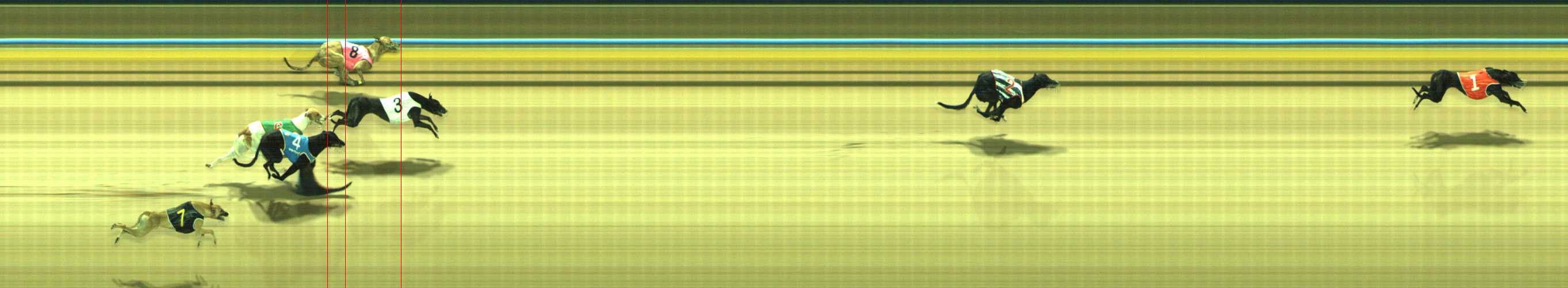 Photo finish for Traralgon Race 1