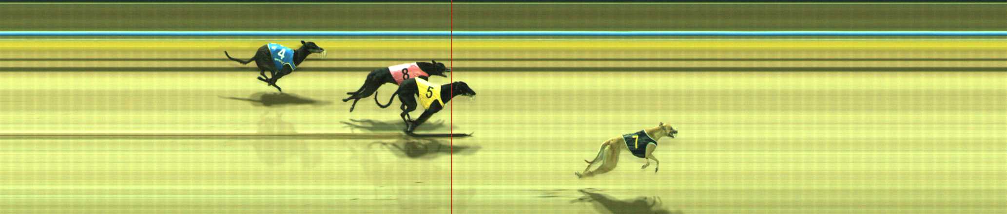 Photo finish for Traralgon Race 2