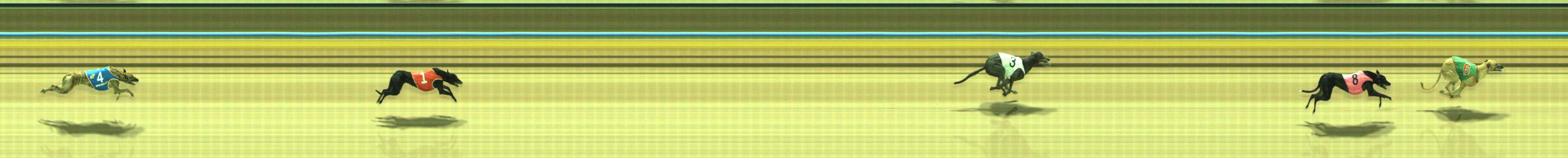 Photo finish for Traralgon Race 3