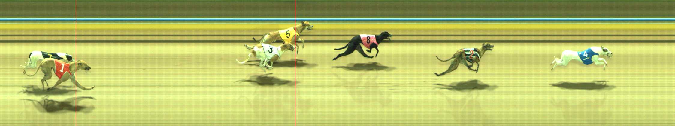 Photo finish for Traralgon Race 4