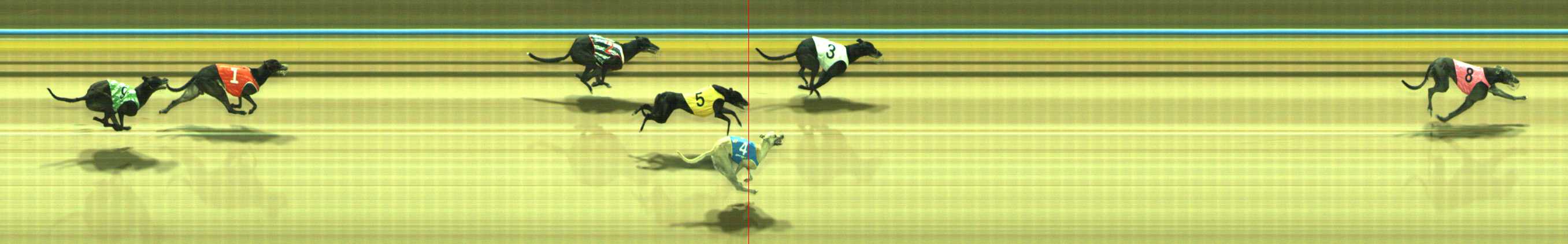 Photo finish for Traralgon Race 5