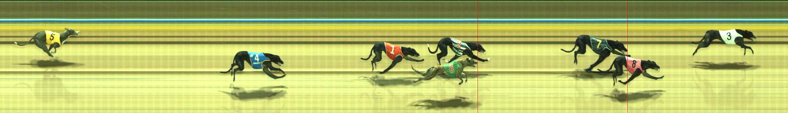 Photo finish for Traralgon Race 6