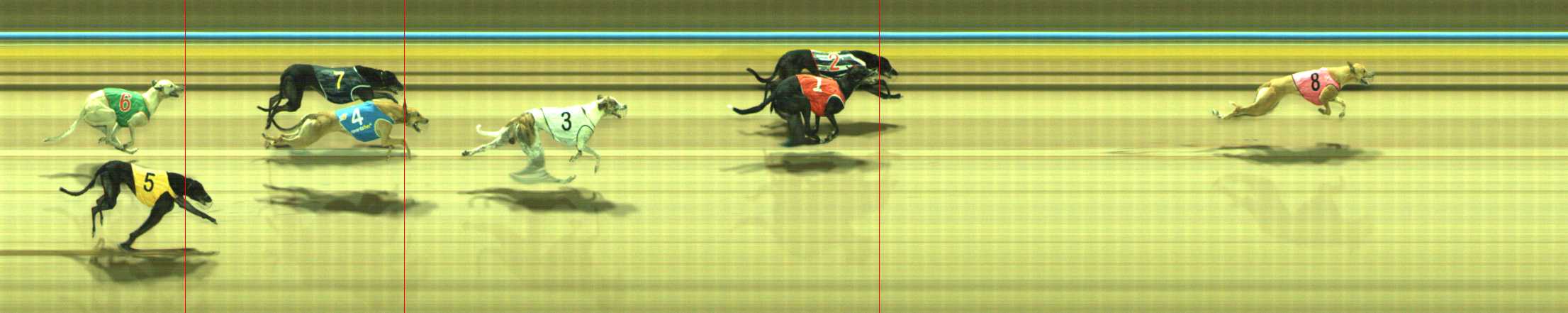 Photo finish for Traralgon Race 7