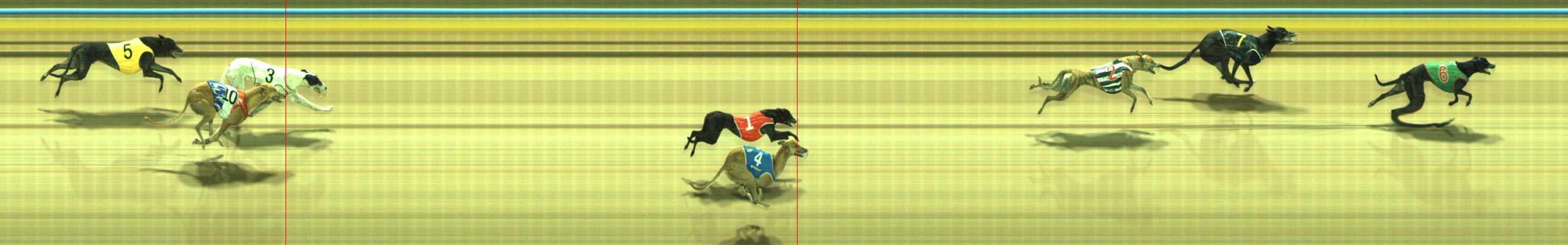 Photo finish for Traralgon Race 8