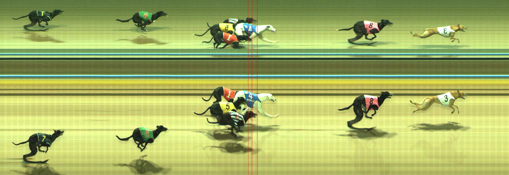 Photo finish for Traralgon Race 9