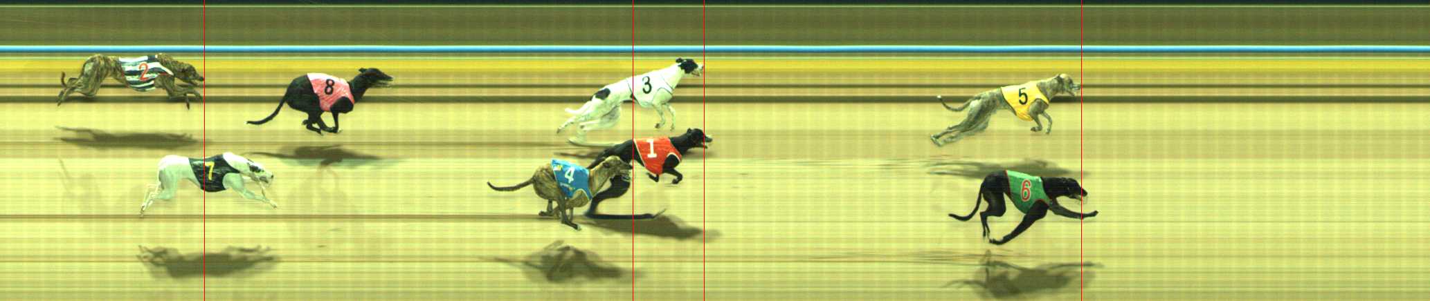 Photo finish for Traralgon Race 10