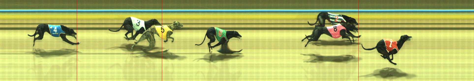 Photo finish for Traralgon Race 11