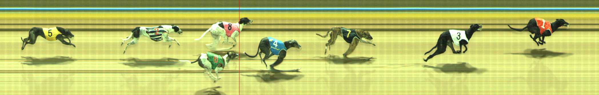 Photo finish for Traralgon Race 12