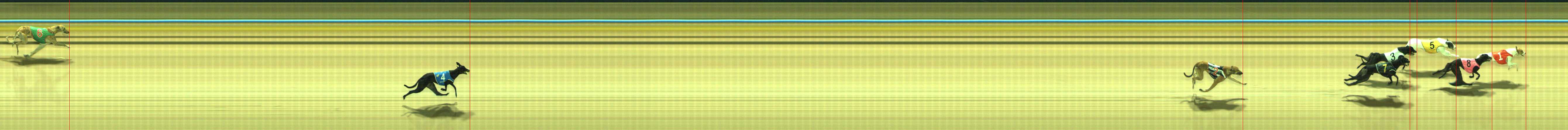 Photo finish for Traralgon Race 1