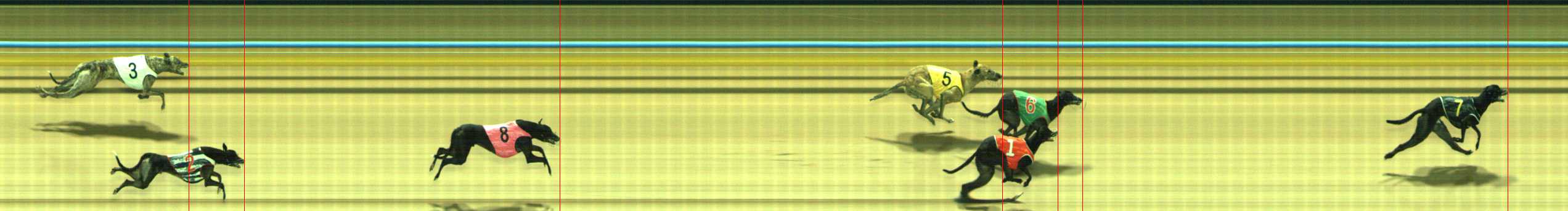 Photo finish for Traralgon Race 2