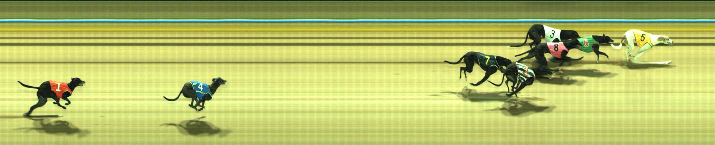 Photo finish for Traralgon Race 3