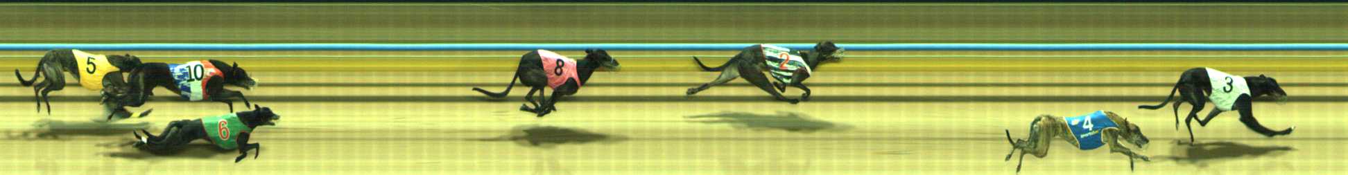 Photo finish for Traralgon Race 4