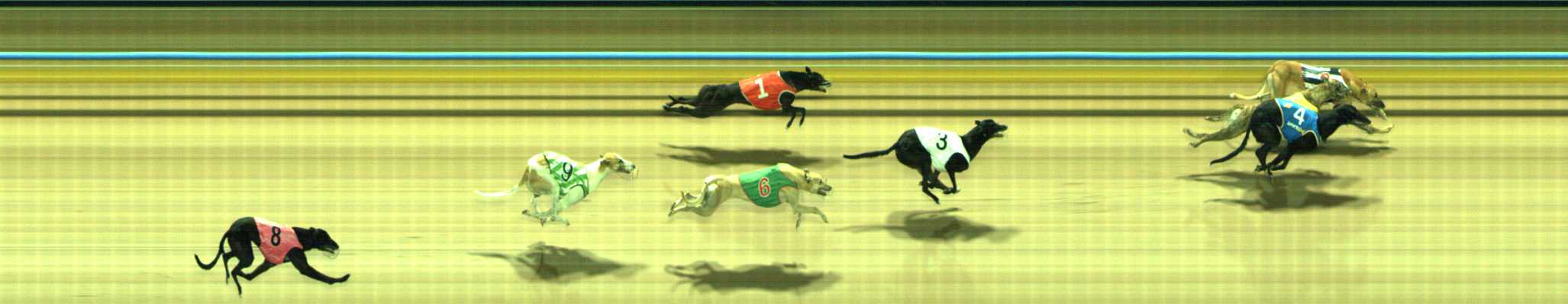 Photo finish for Traralgon Race 5