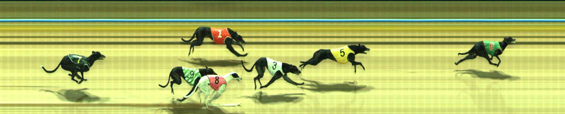 Photo finish for Traralgon Race 6