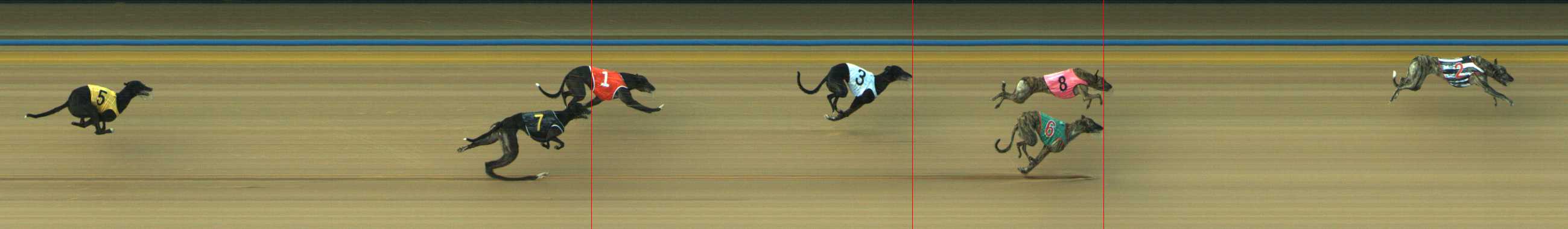 Photo finish for Traralgon Race 1