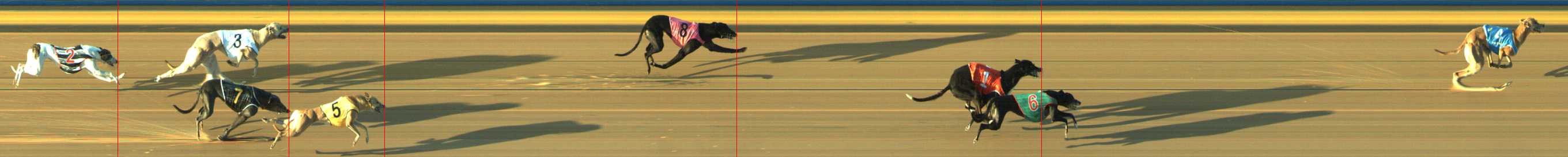 Photo finish for Traralgon Race 4