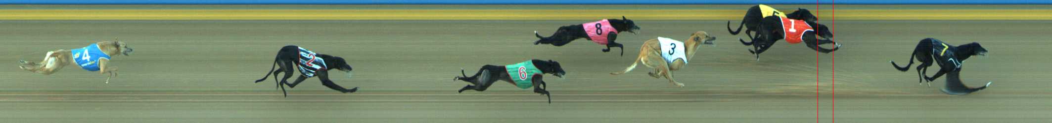 Photo finish for Traralgon Race 5