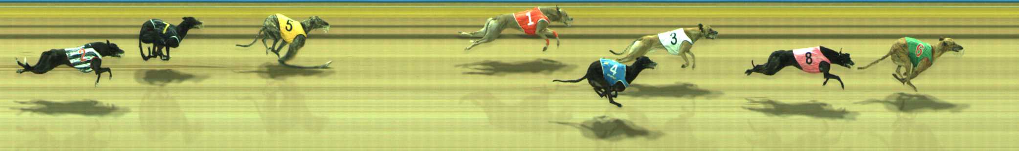 Photo finish for Traralgon Race 7