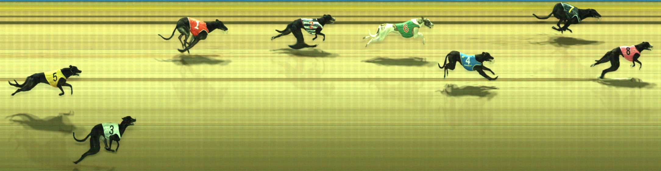 Photo finish for Traralgon Race 9