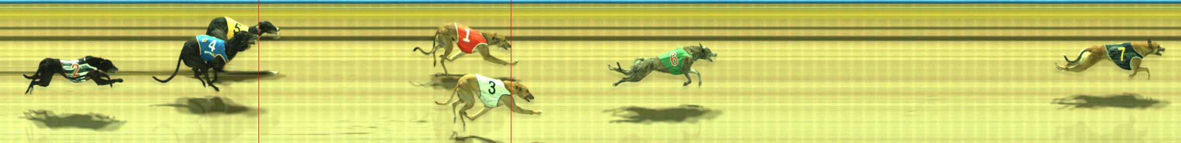 Photo finish for Traralgon Race 11