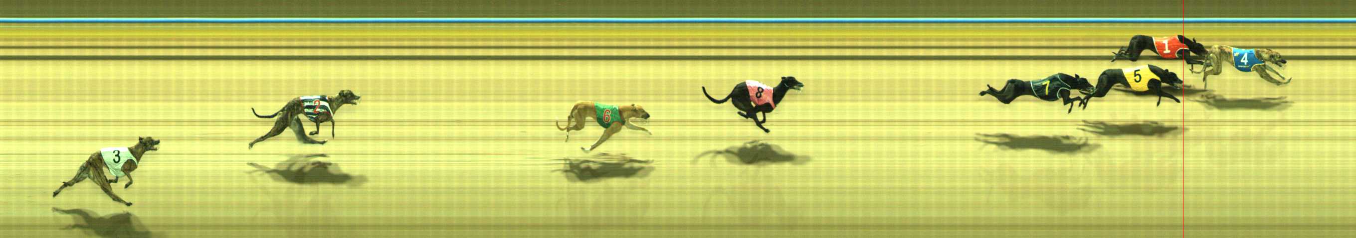 Photo finish for Traralgon Race 1