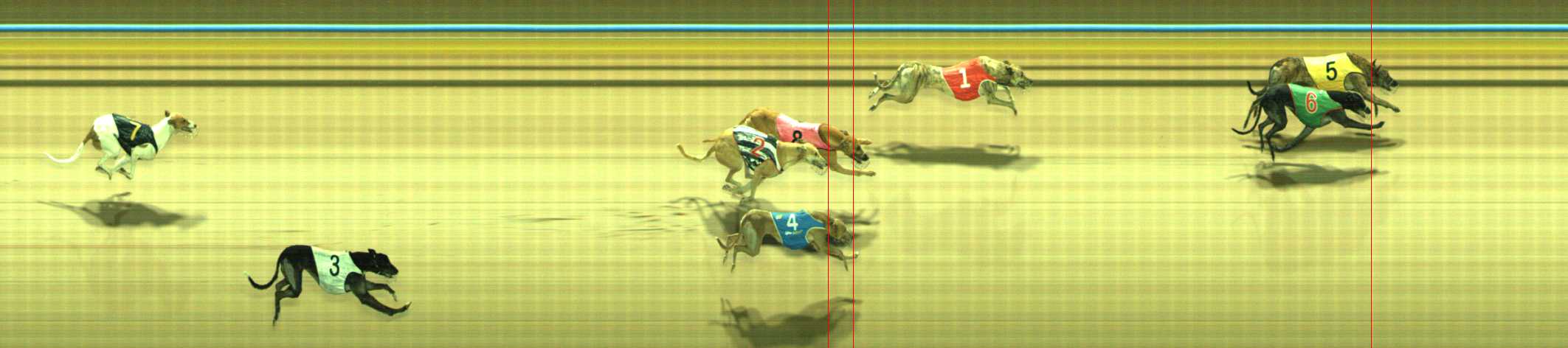 Photo finish for Traralgon Race 2