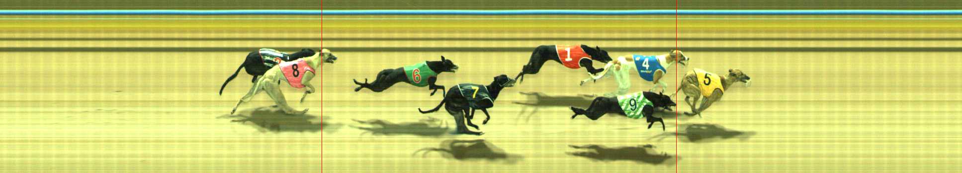 Photo finish for Traralgon Race 3