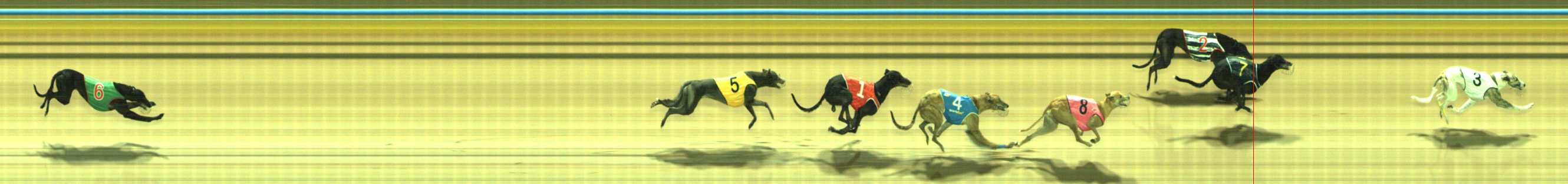 Photo finish for Traralgon Race 4