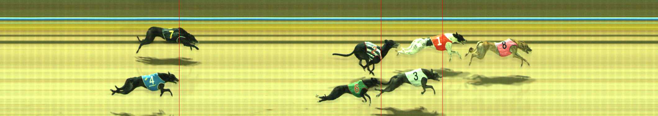 Photo finish for Traralgon Race 5
