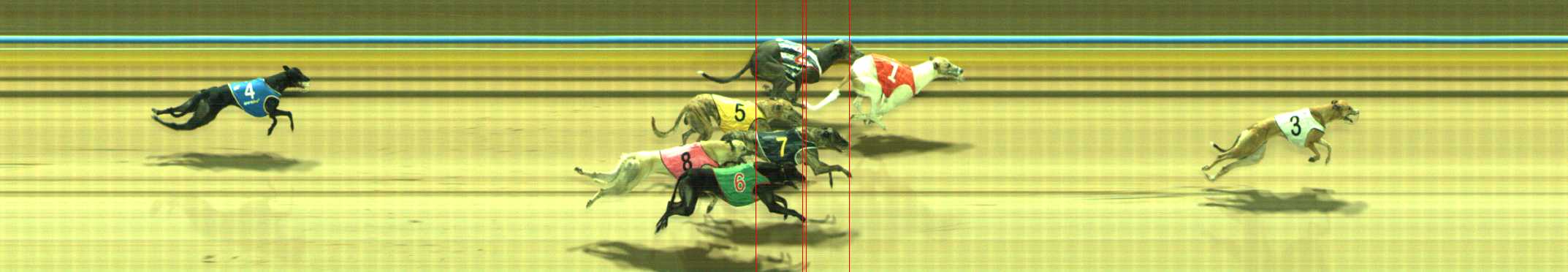 Photo finish for Traralgon Race 6
