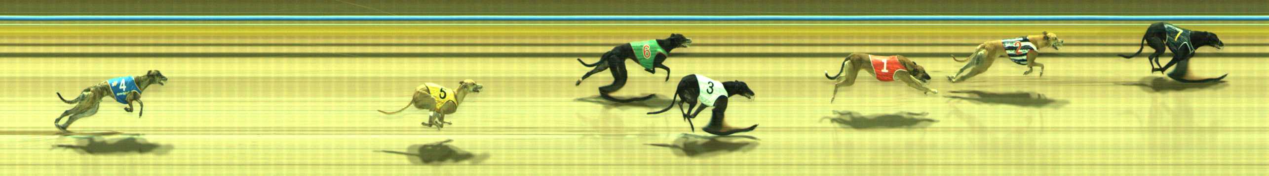 Photo finish for Traralgon Race 7