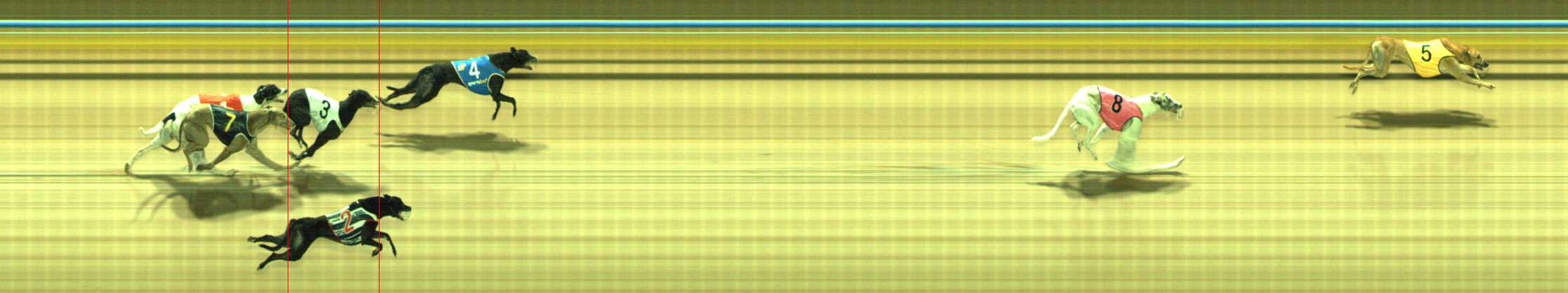 Photo finish for Traralgon Race 8