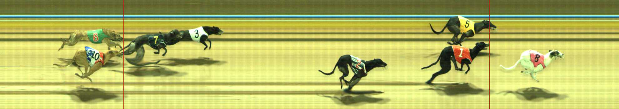 Photo finish for Traralgon Race 9