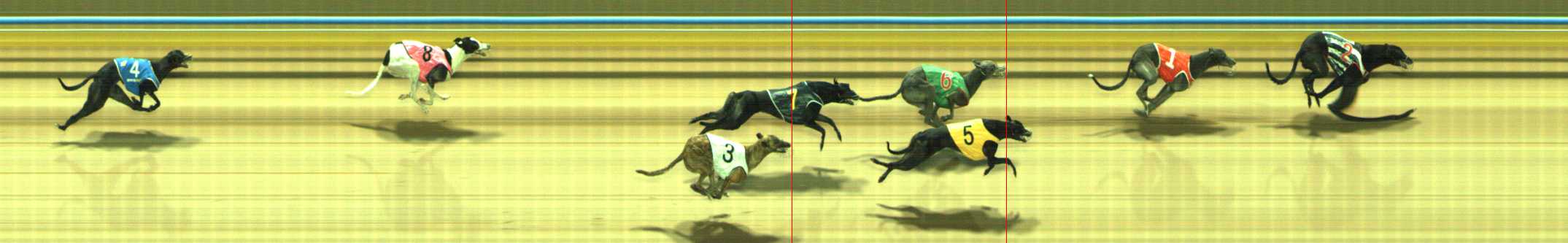 Photo finish for Traralgon Race 10