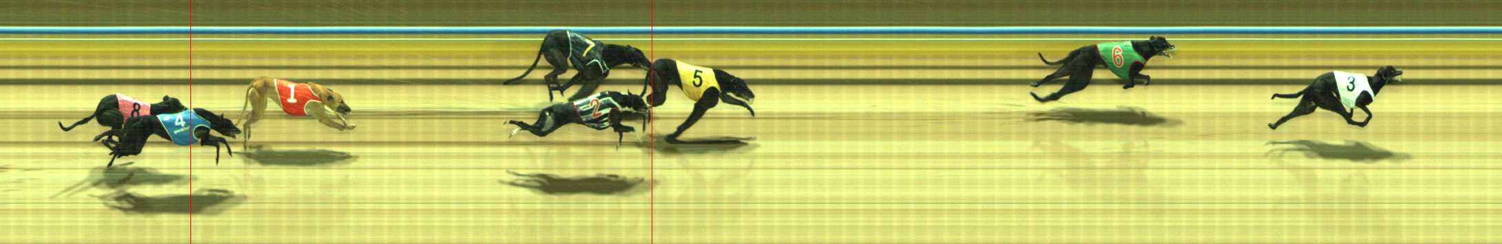 Photo finish for Traralgon Race 11