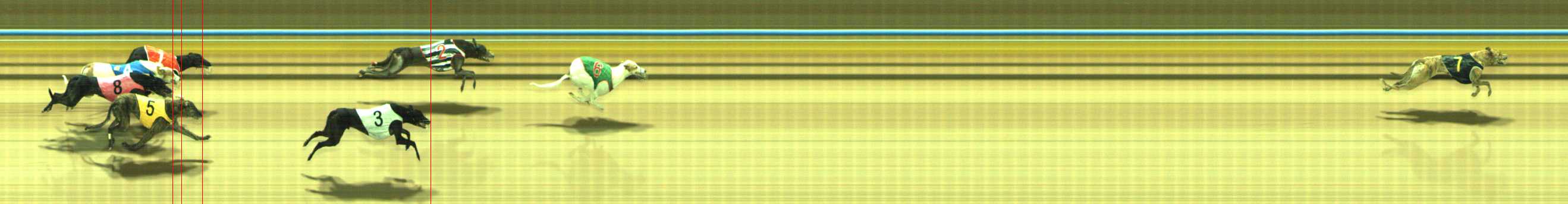 Photo finish for Traralgon Race 12