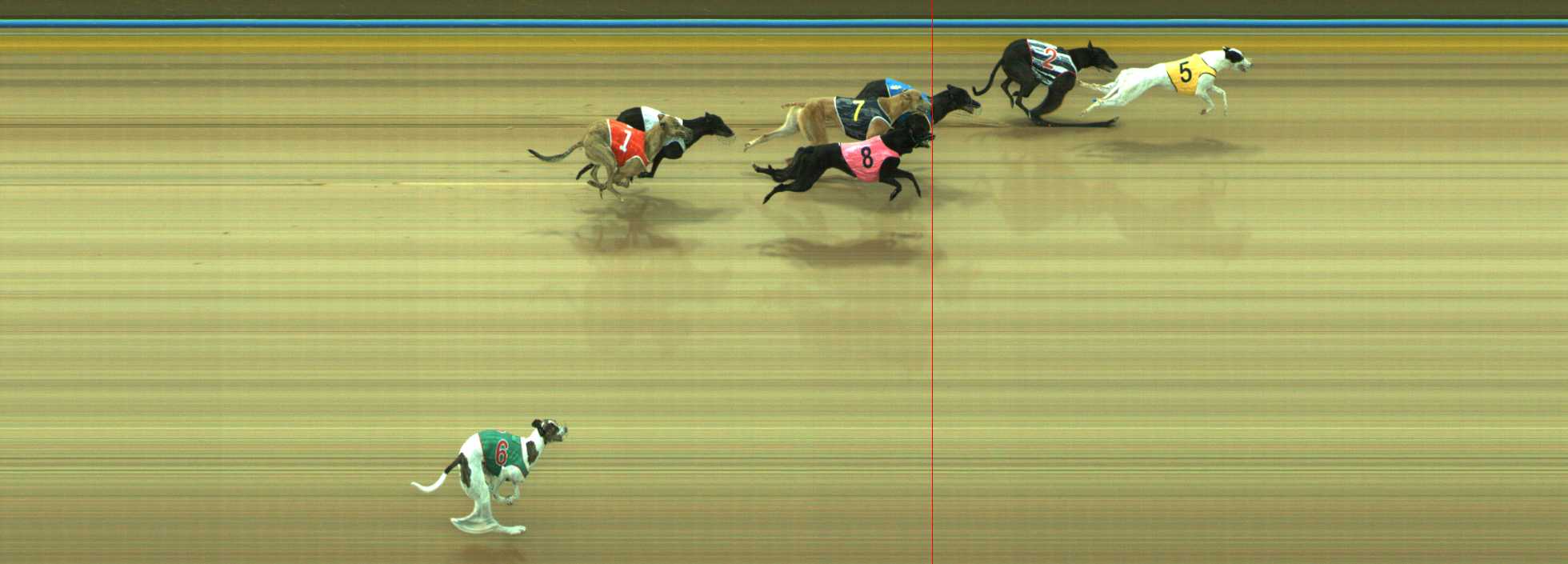 Photo finish for Traralgon Race 1