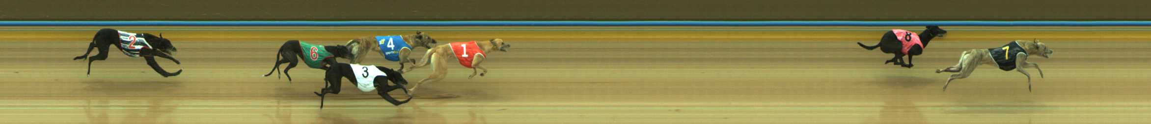 Photo finish for Traralgon Race 2