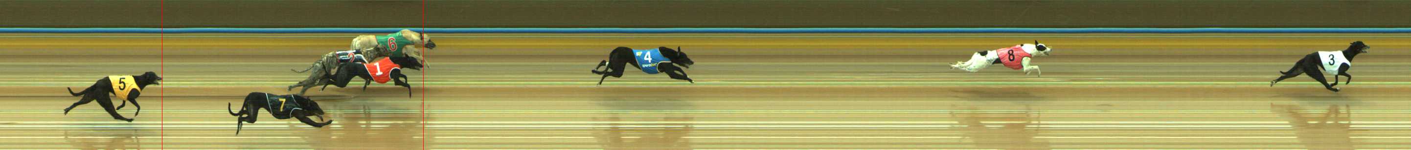 Photo finish for Traralgon Race 3