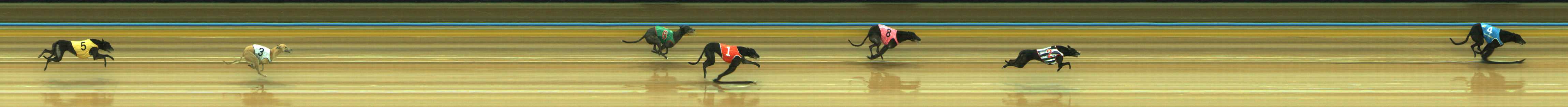Photo finish for Traralgon Race 4