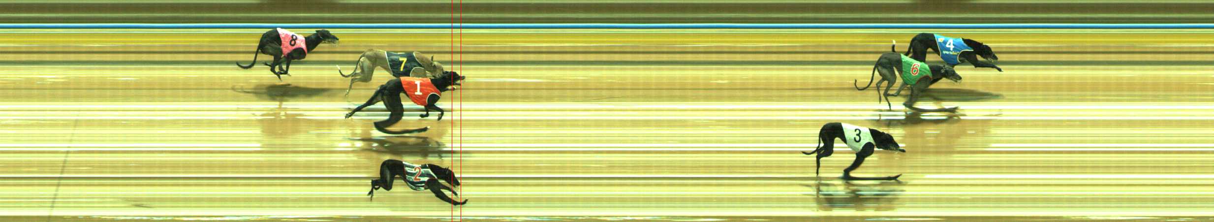 Photo finish for Traralgon Race 8