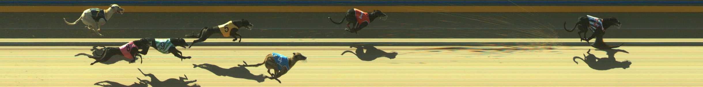 Photo finish for Traralgon Race 1