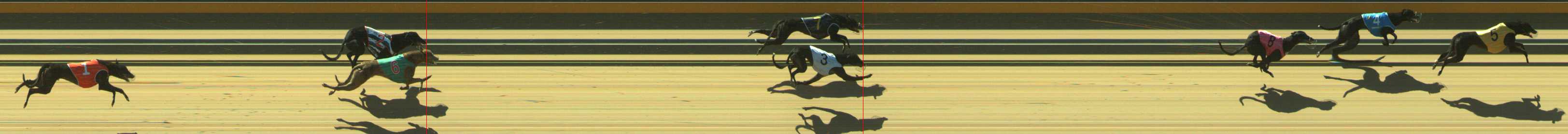 Photo finish for Traralgon Race 2