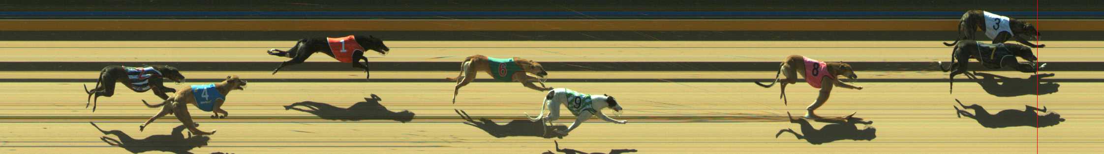 Photo finish for Traralgon Race 3
