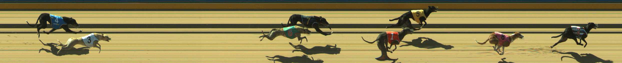 Photo finish for Traralgon Race 4